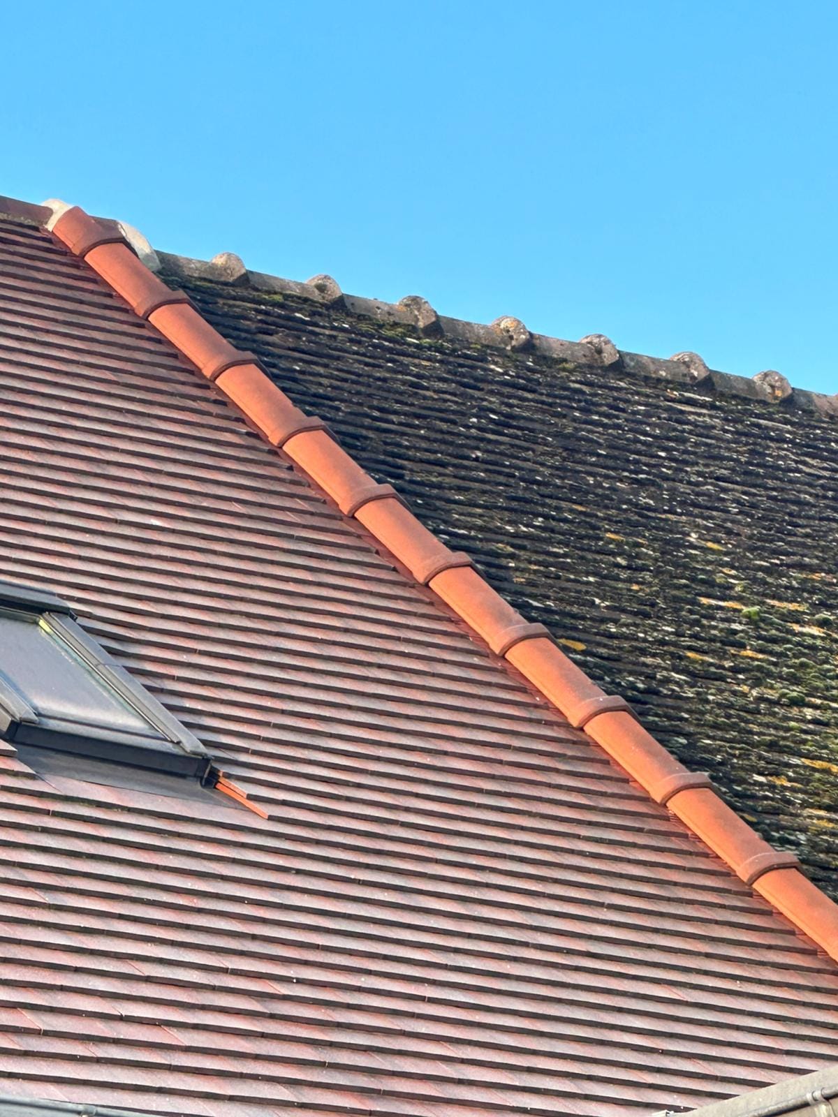 WhatsApp Image 2024-10-15 à 10.49.29_47d49b7c