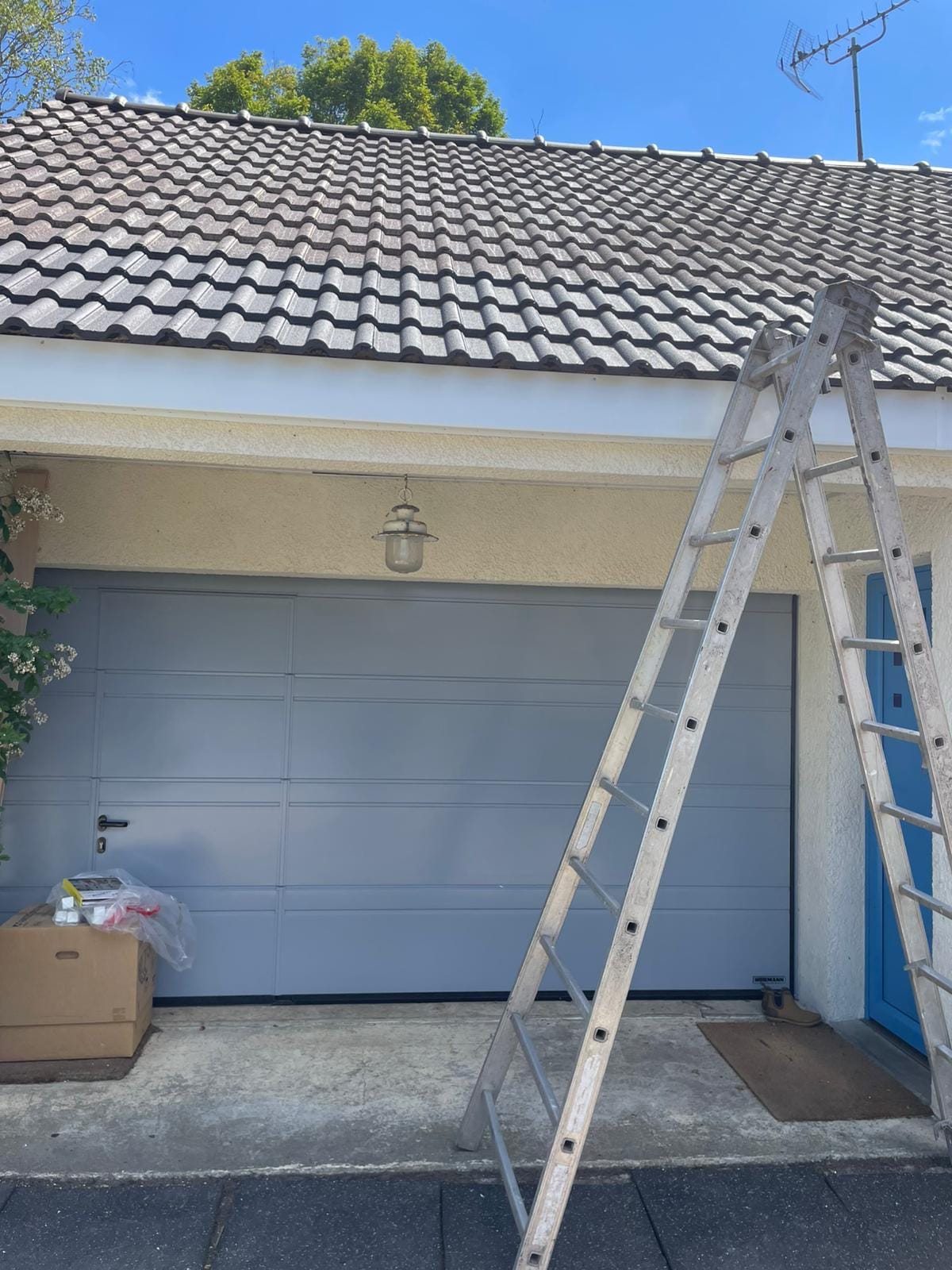 WhatsApp Image 2024-10-15 à 10.55.00_92c57642